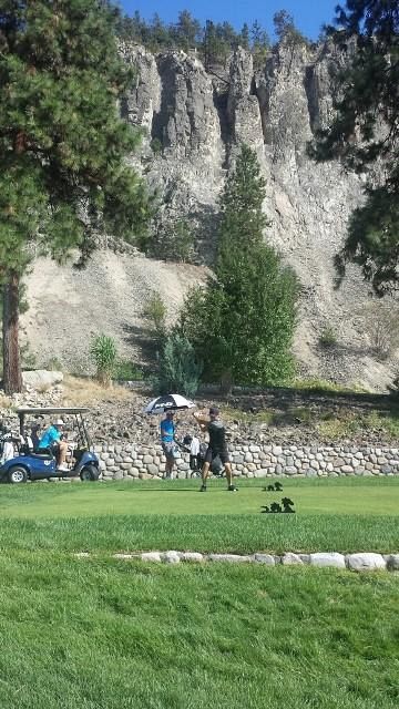 James on the 12th Tee